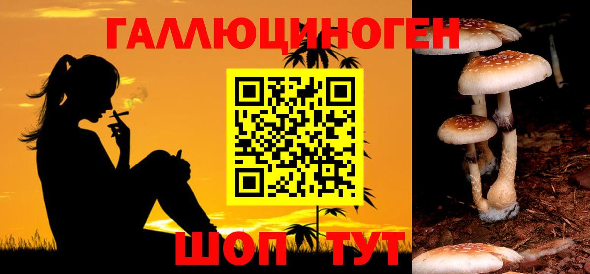 Псилоцибиновые грибы MAGIC MUSHROOMS Мытищи