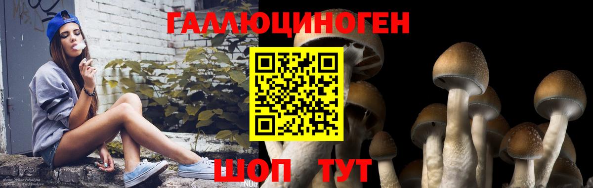 Мытищи  Псилоцибиновые грибы прущие грибы  Вход с VPN 